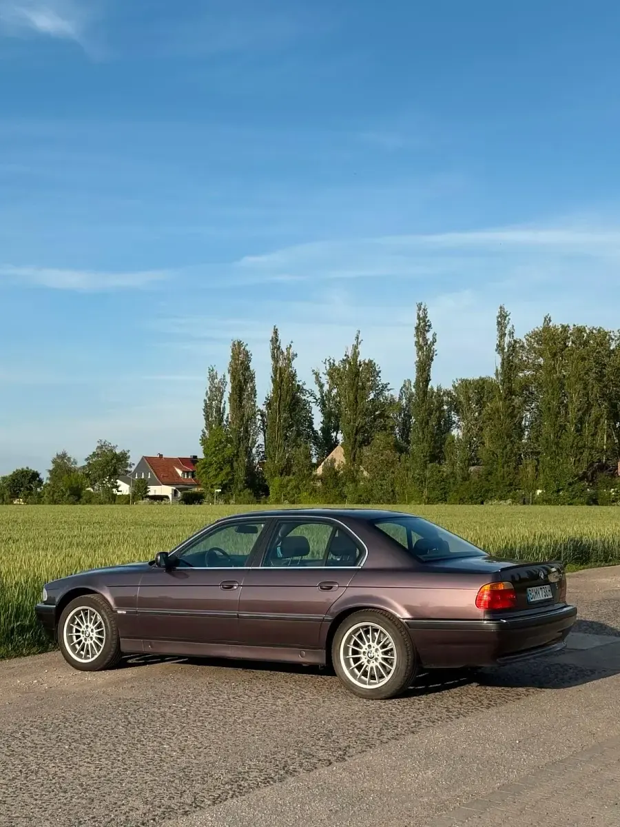 Gebraucht BMW 730 218 PS (160 kW) 1994 Violet Limousine