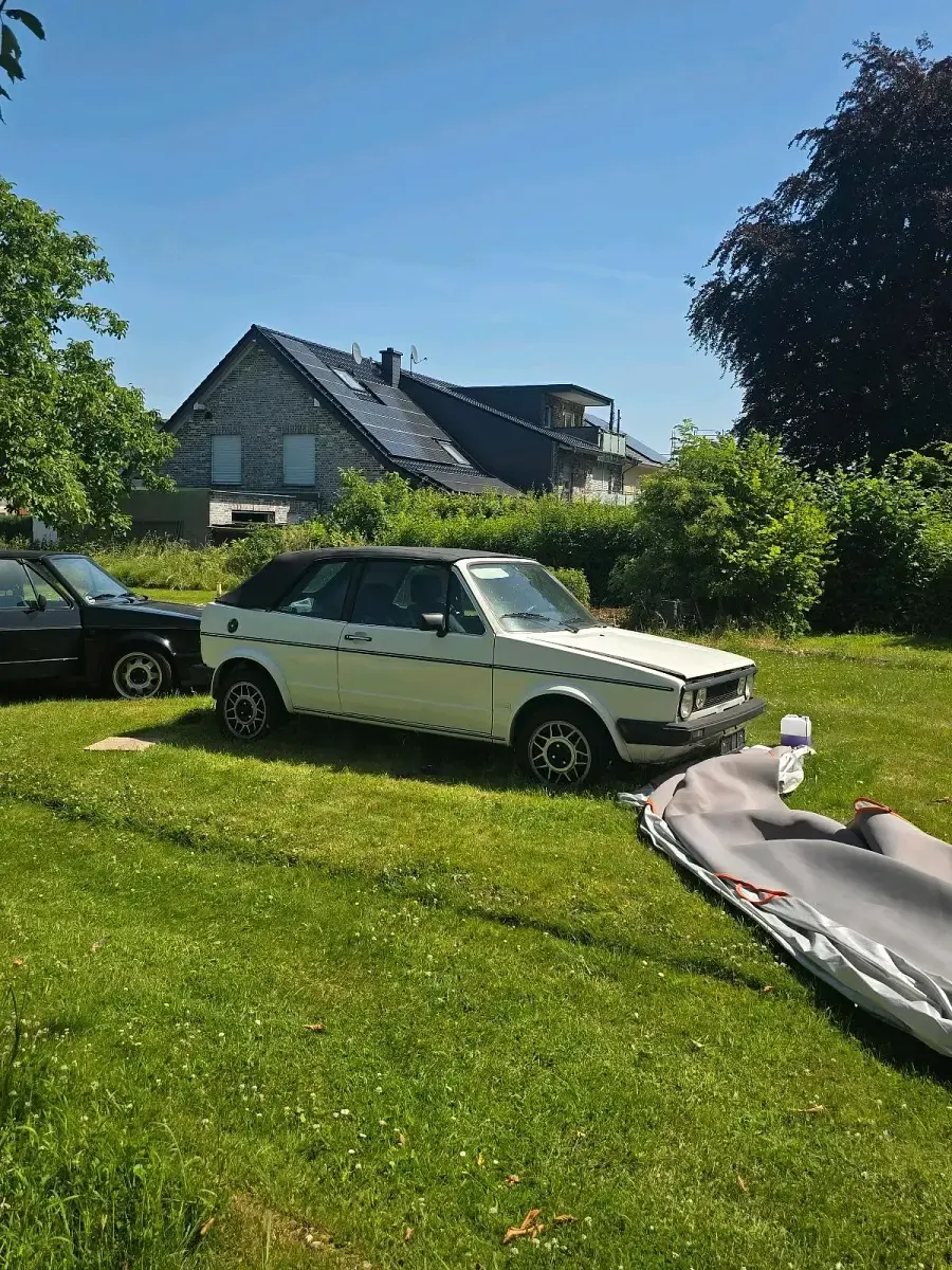Gebraucht VW Golf Cabriolet 75 PS (55 kW) 1987 Weiß Cabrio