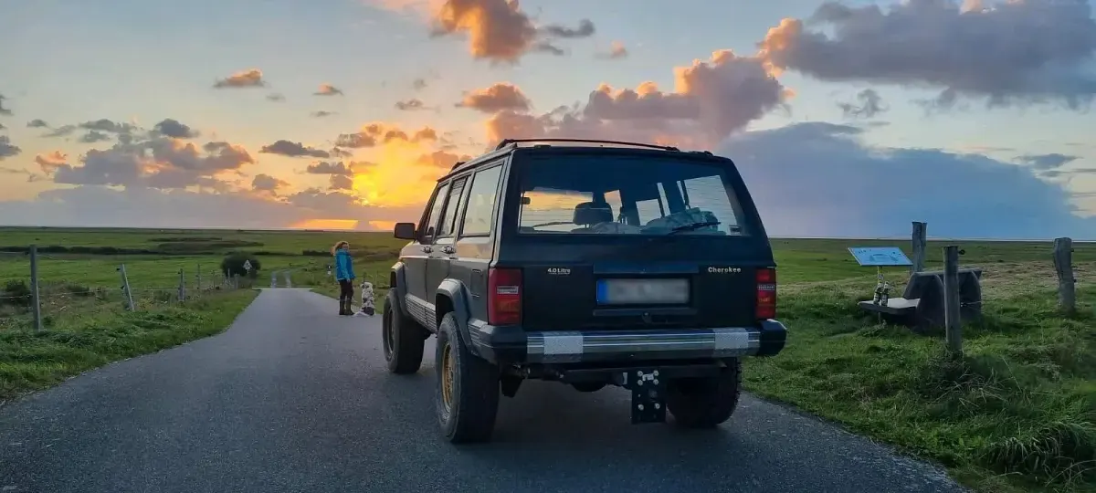 Gebraucht Jeep Cherokee 180 PS (132 kW) 1992 SUV