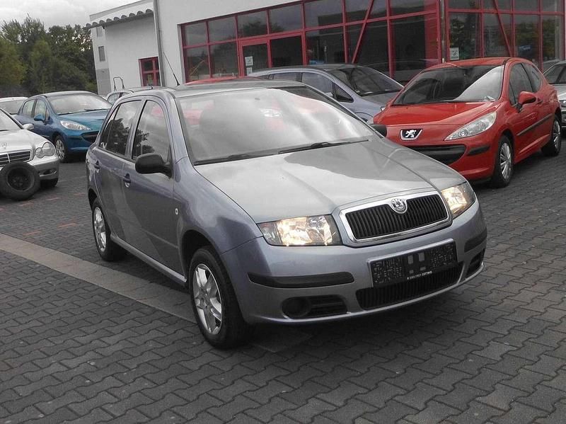 Gebraucht Skoda Fabia Classic 54 PS (39 kW) 2005 Grau Kleinwagen
