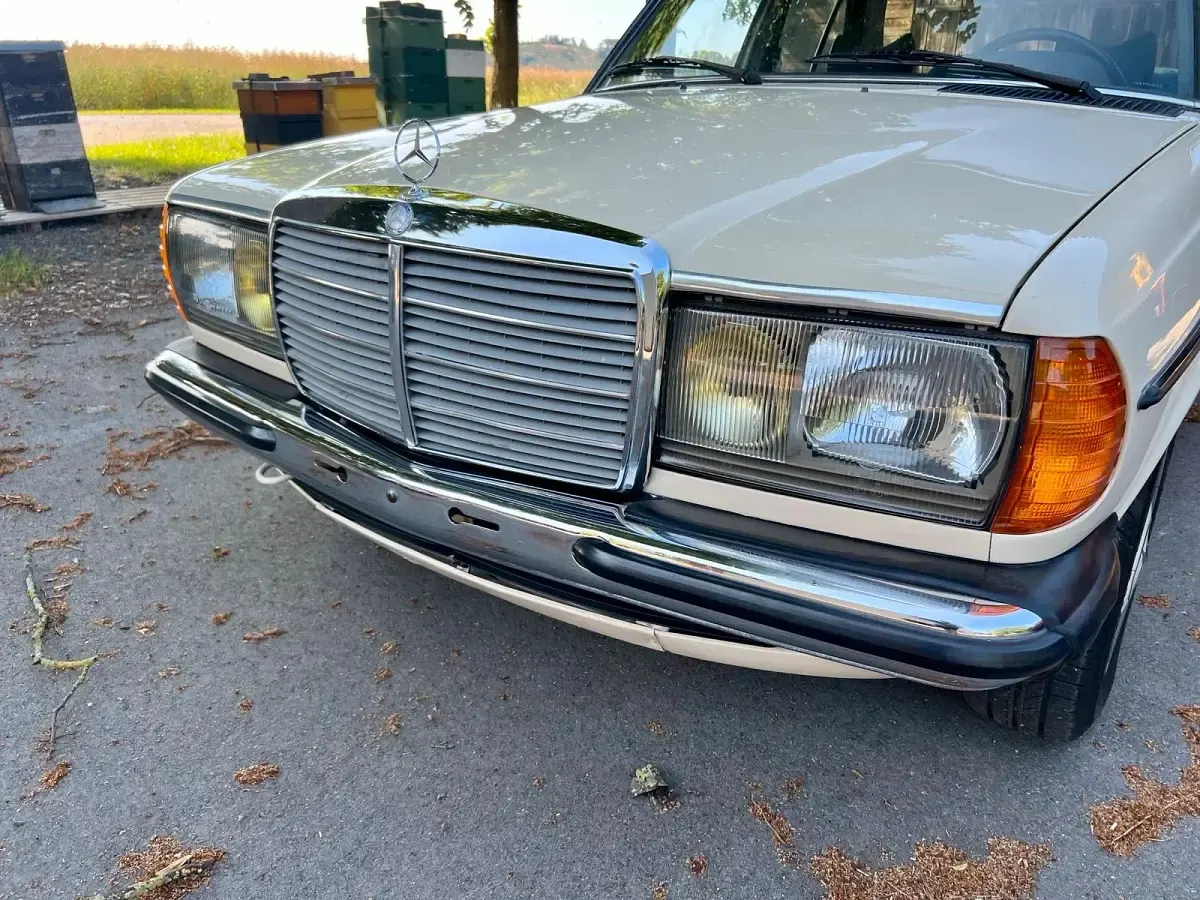 Gebraucht Mercedes 250 129 PS (94 kW) 1979 Beige Limousine