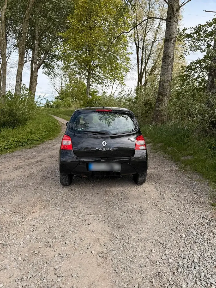 Gebraucht Renault Twingo 76 PS (55 kW) 2008 Schwarz Kleinwagen