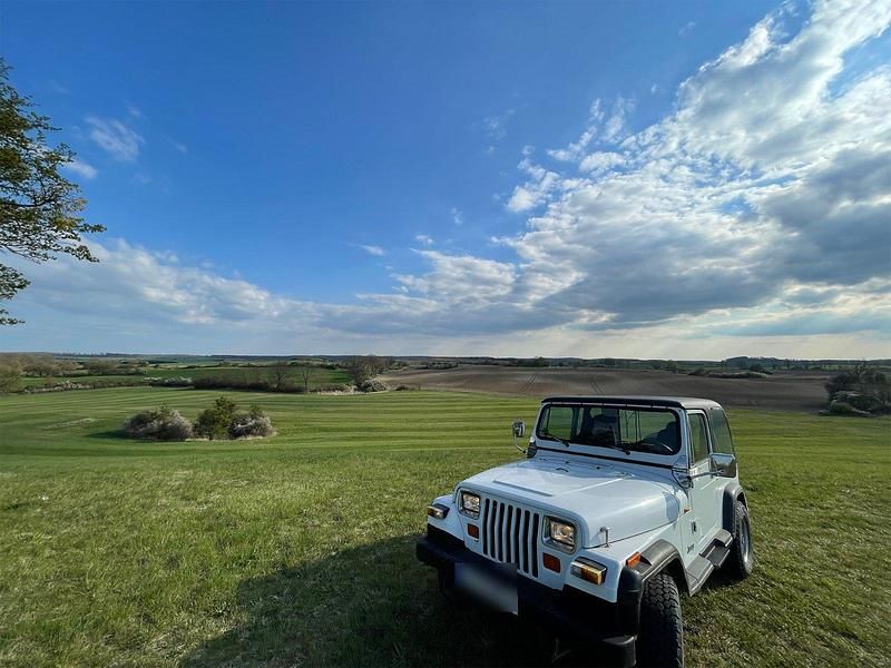 Second-hand Jeep Wrangler 122 CP (89 kW) 1990 Alb SUV