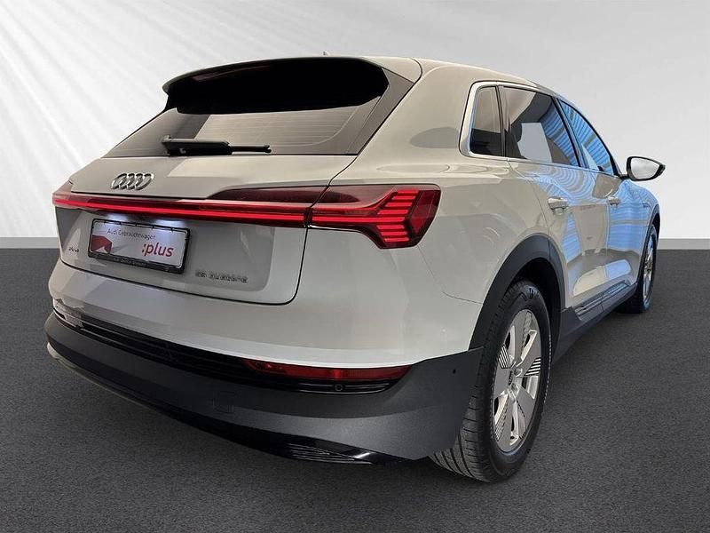 Gebraucht Audi e-tron Advanced Plus 300 kW (408 PS) 2023 Gletscherweiß metallic SUV