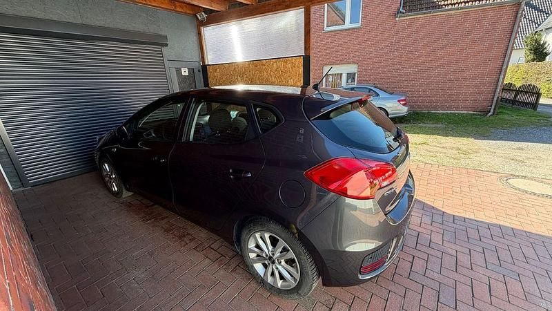 Gebraucht Kia Ceed Edition 7 99 PS (72 kW) 2016 Grau Kleinwagen