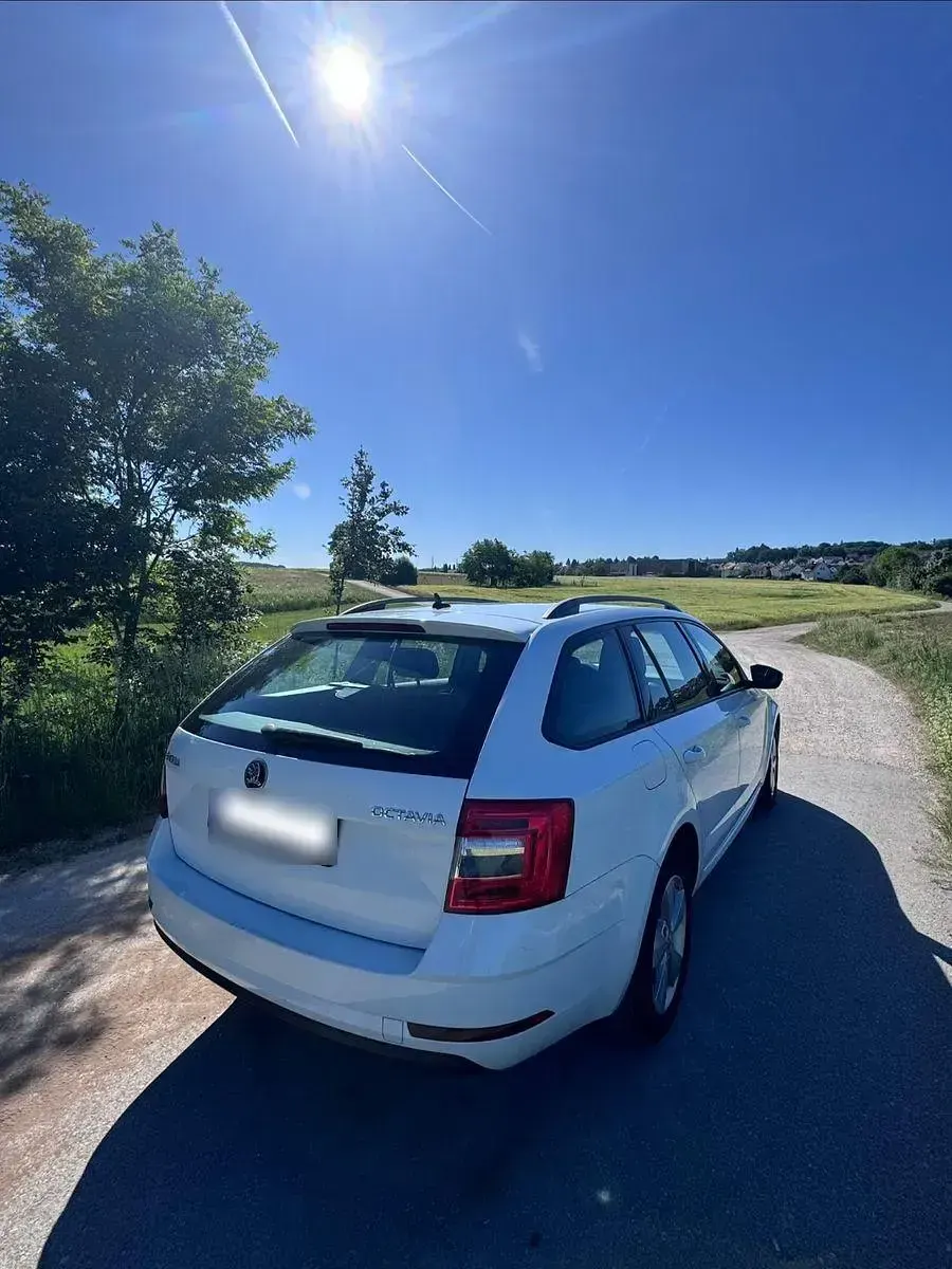 Gebraucht Skoda Octavia Ambition 150 PS (110 kW) 2017 Weiß Kombi