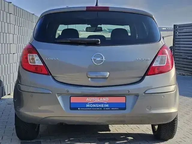 Gebraucht Opel Corsa Active 160 PS (117 kW) 2013 Braun Kleinwagen