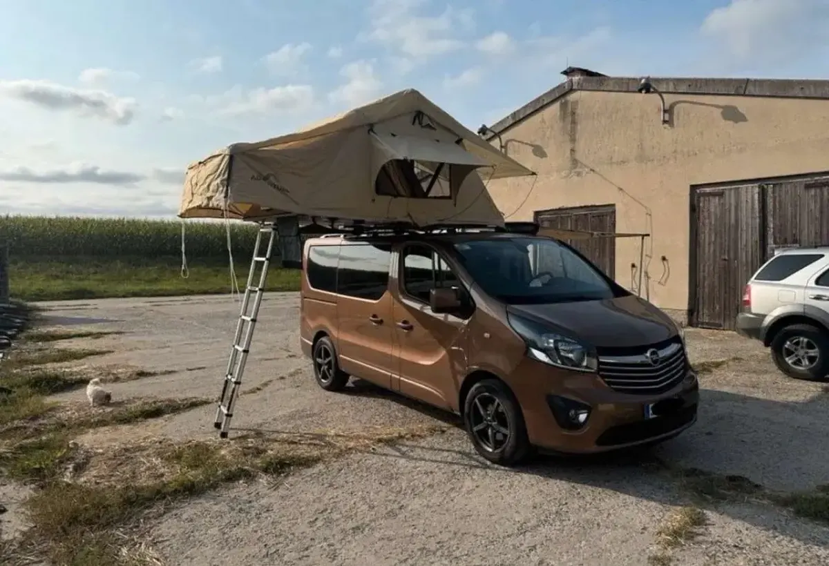 Gebraucht Opel Vivaro S 145 PS (106 kW) 2016 Braun Van / Kleinbus