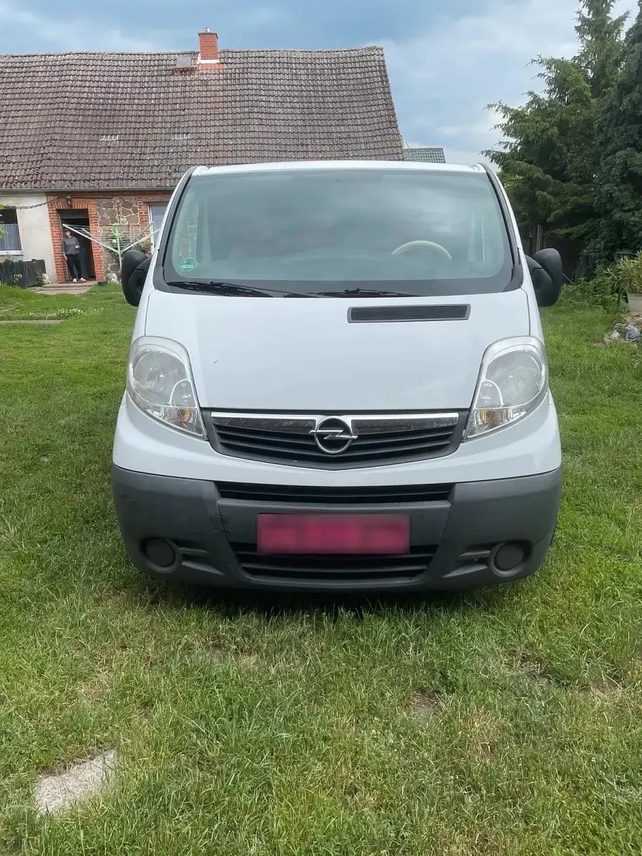 Gebraucht Opel Vivaro 114 PS (83 kW) 2012 Weiß Van / Kleinbus