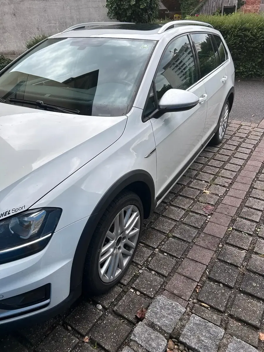 Gebraucht VW Golf Alltrack 184 PS (135 kW) 2016 Weiß Kombi