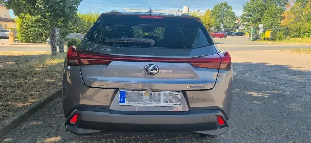 Gebraucht Lexus UX 250h 184 PS (135 kW) 2020 Grau SUV