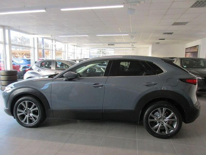 Gebraucht Mazda CX-30 Selection 186 PS (136 kW) 2022 Grau SUV