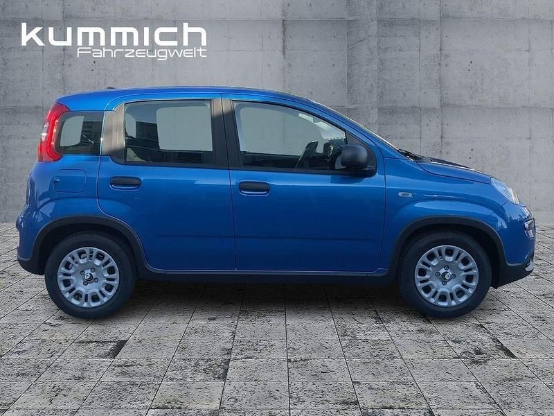 Gebraucht Fiat Panda 69 PS (50 kW) 2024 Blau Kleinwagen