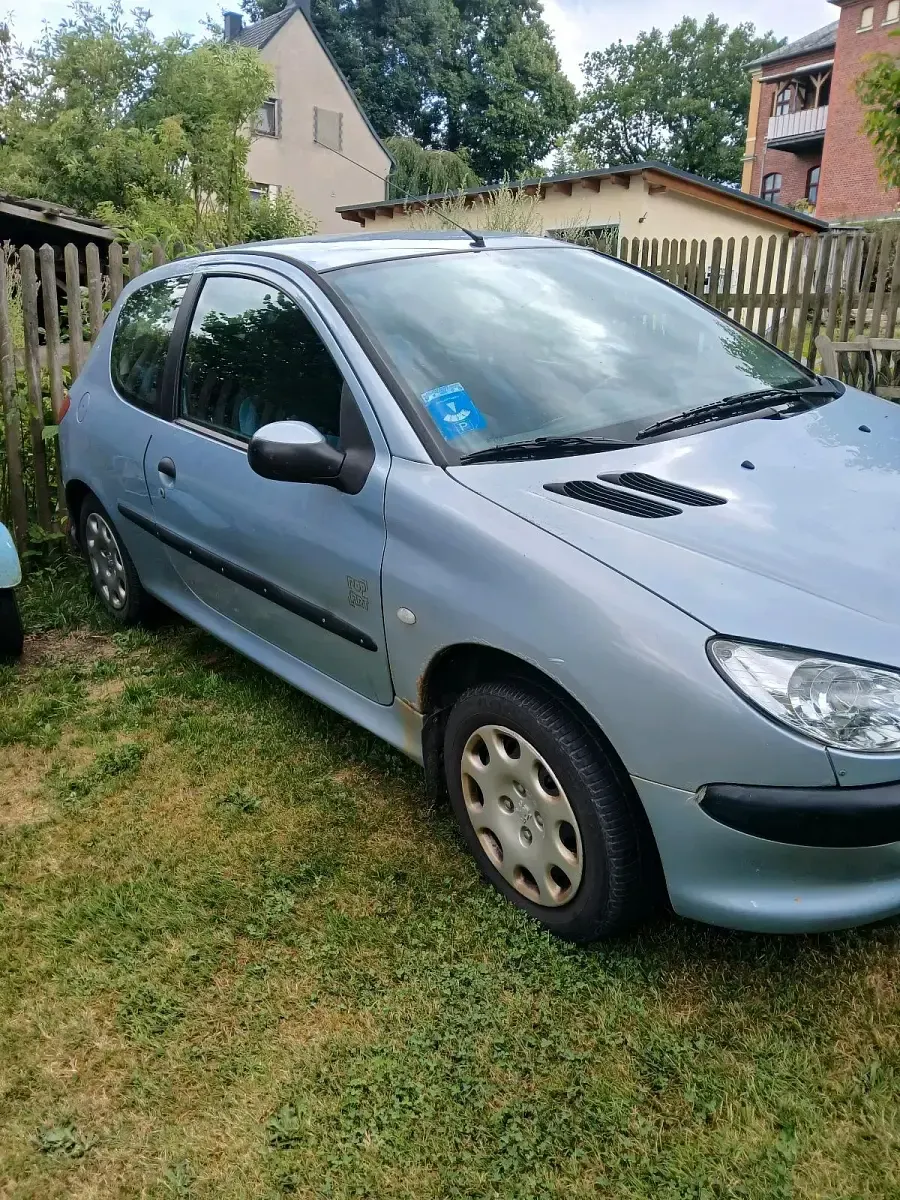 Gebraucht Peugeot 206 60 PS (44 kW) 2004 Blau Kleinwagen
