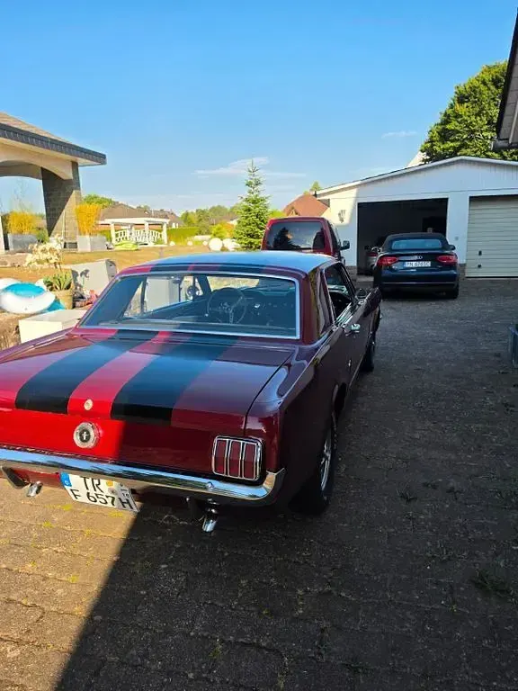 Gebraucht Ford Mustang 204 PS (150 kW) 1965 Rot