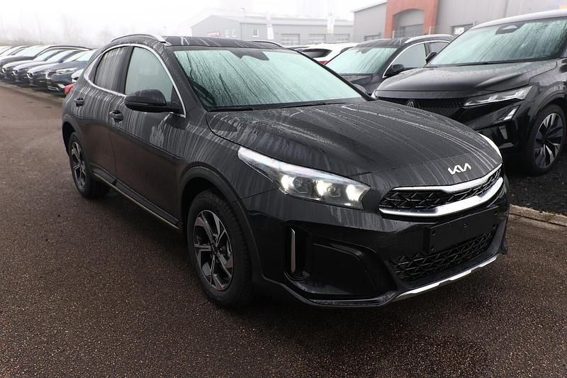 Neu Kia XCeed 116 PS (85 kW) 2025 Zilinaschwarz metallic SUV