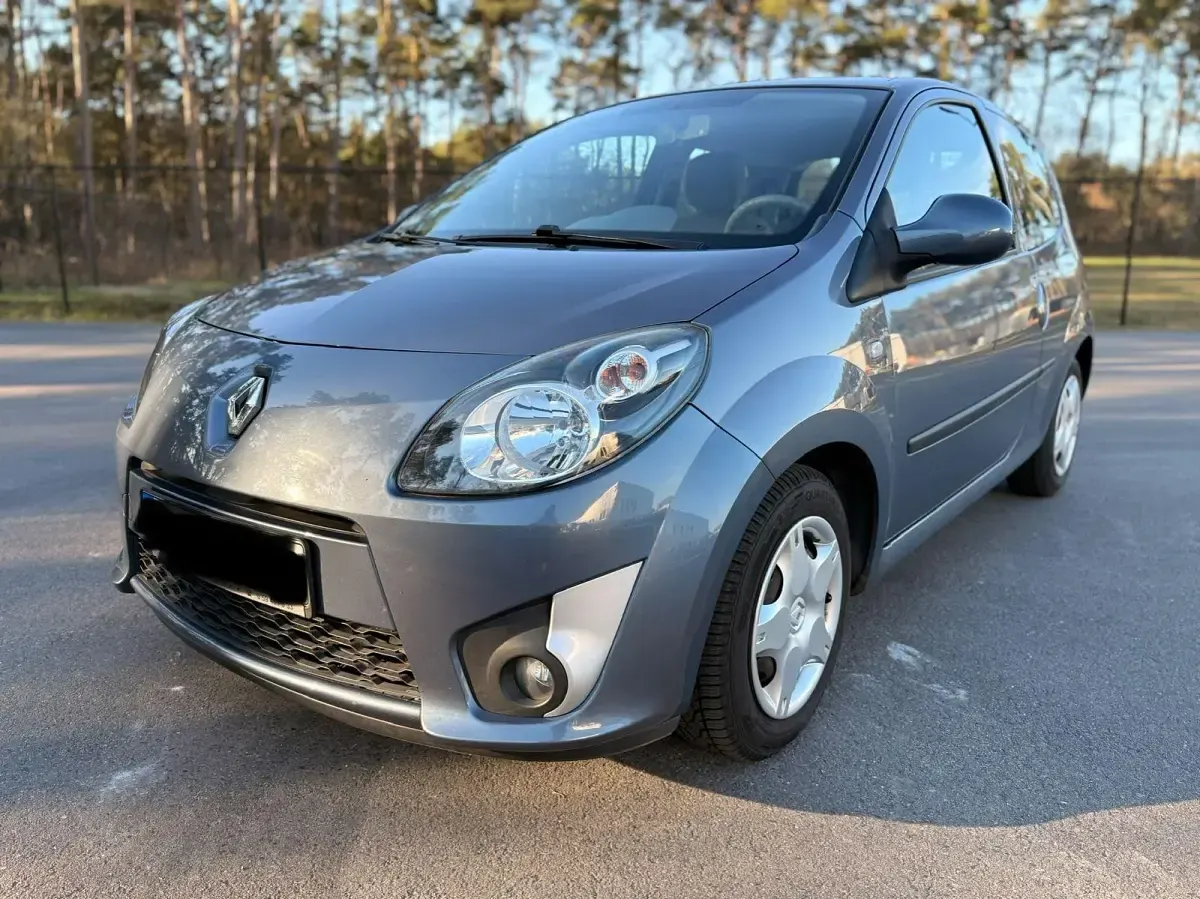 Gebraucht Renault Twingo Rip Curl 76 PS (55 kW) 2009 Grau Kleinwagen