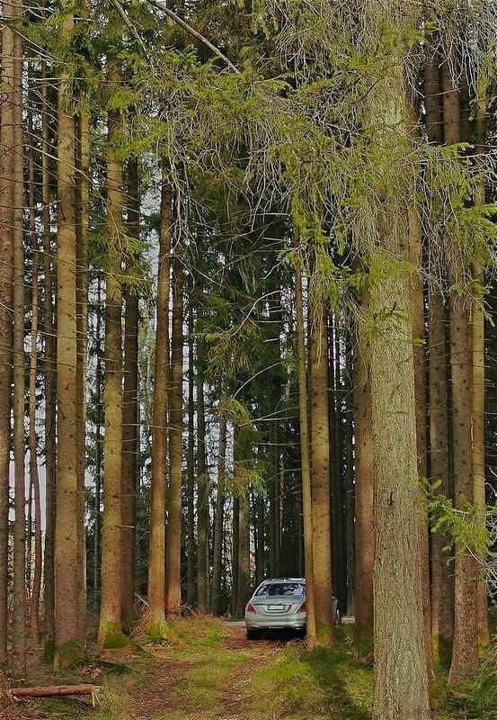 Gebraucht Mercedes S500 455 PS (334 kW) 2015 Silber Limousine