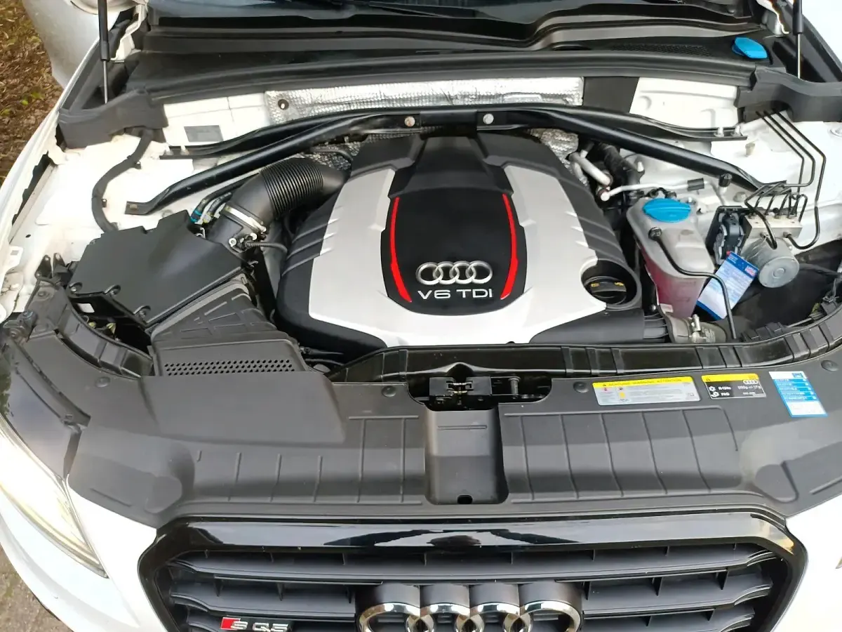 Gebraucht Audi SQ5 Comfort 311 PS (228 kW) 2014 Weiß SUV