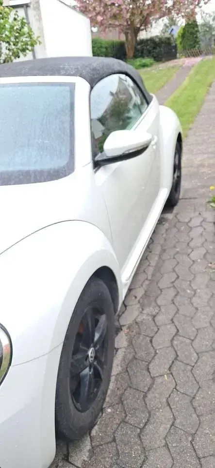 Usata VW Beetle Cabriolet 105 CV (77 kW) 2016 Bianco Cabrio