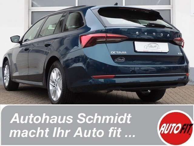 Gebraucht Skoda Octavia 150 PS (110 kW) 2023 Blau metallic Kombi