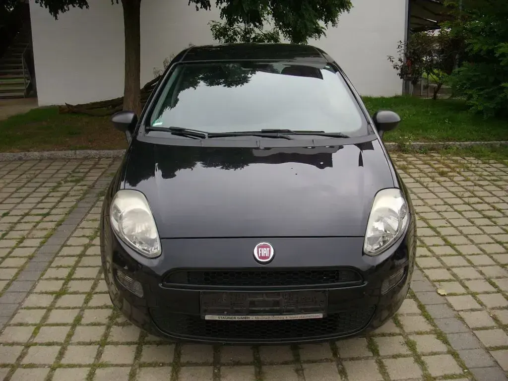 Gebraucht Fiat Punto 69 PS (50 kW) 2014 Schwarz Kleinwagen