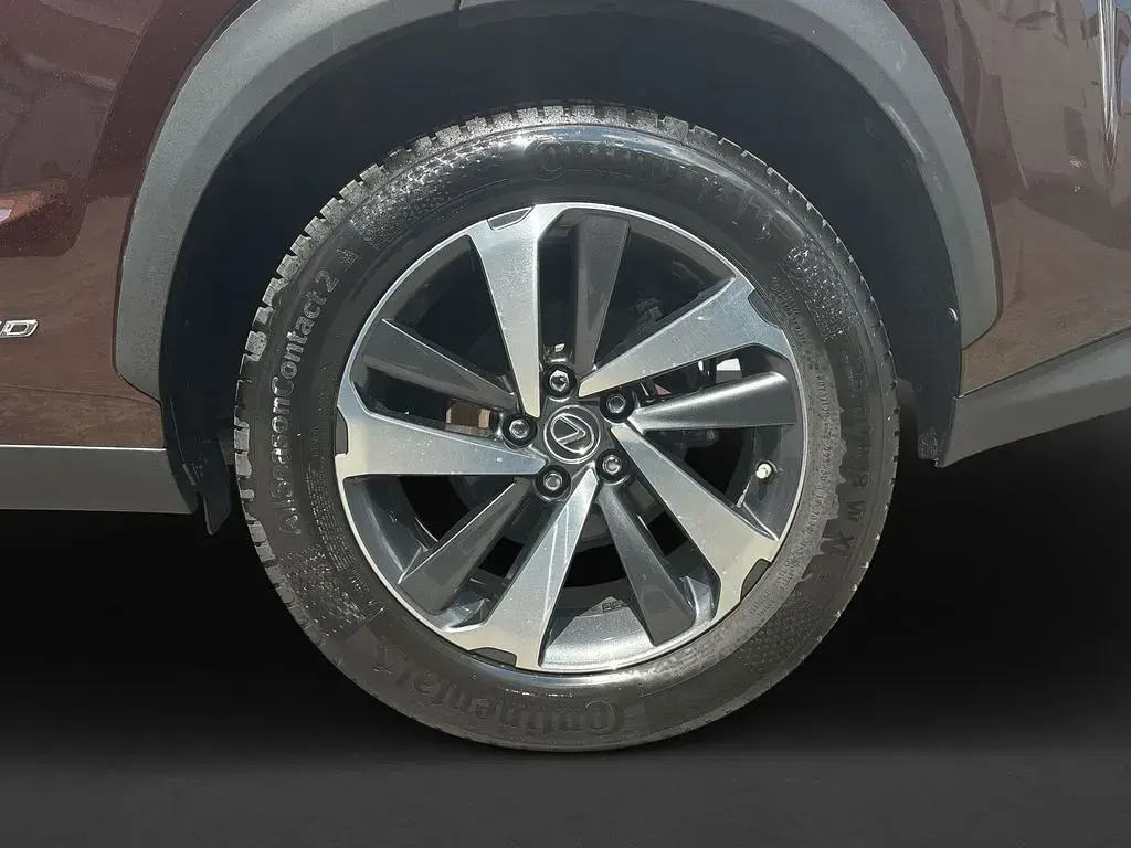 Gebraucht Lexus NX300h Luxury Line 197 PS (144 kW) 2019 Braun SUV