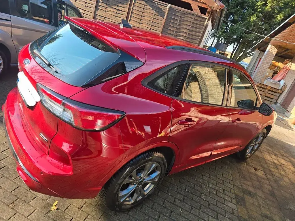 Gebraucht Ford Kuga ST-Line 224 PS (164 kW) 2024 Rot SUV