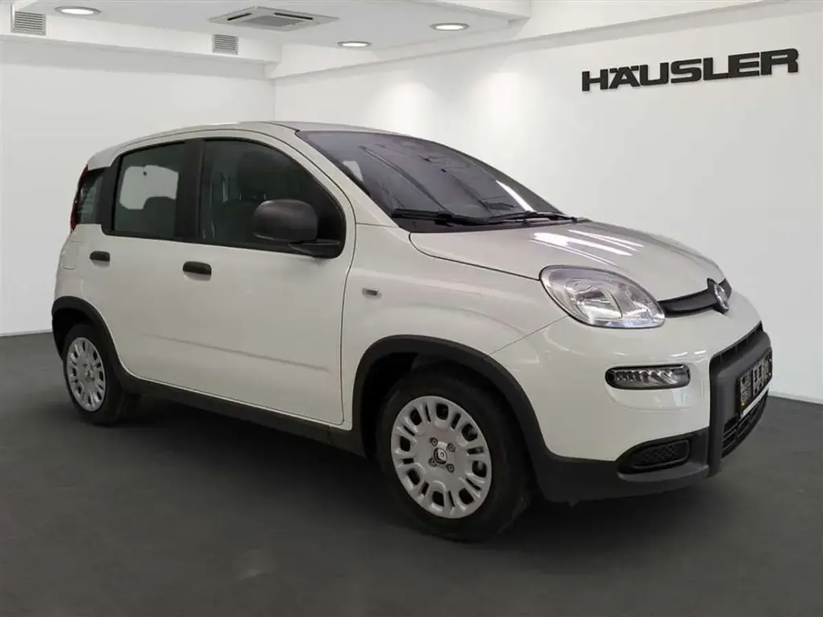 Occasion Fiat Panda 70 ch (51 kW) 2024 Blanc Berline