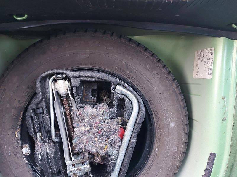 Gebraucht VW Golf IV 101 PS (74 kW) 1998 Grün Kleinwagen