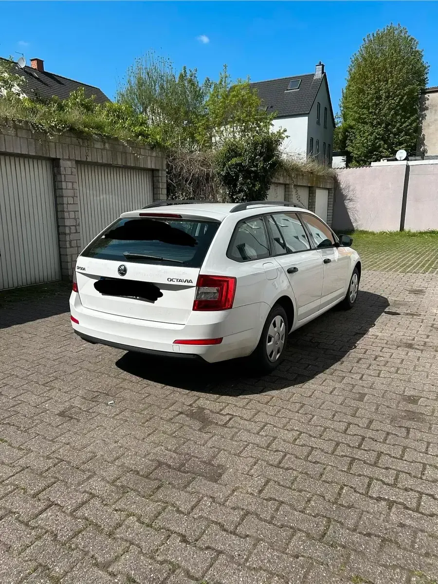 Używany Skoda Octavia 110 KM (80 kW) 2016 Biały Kombi