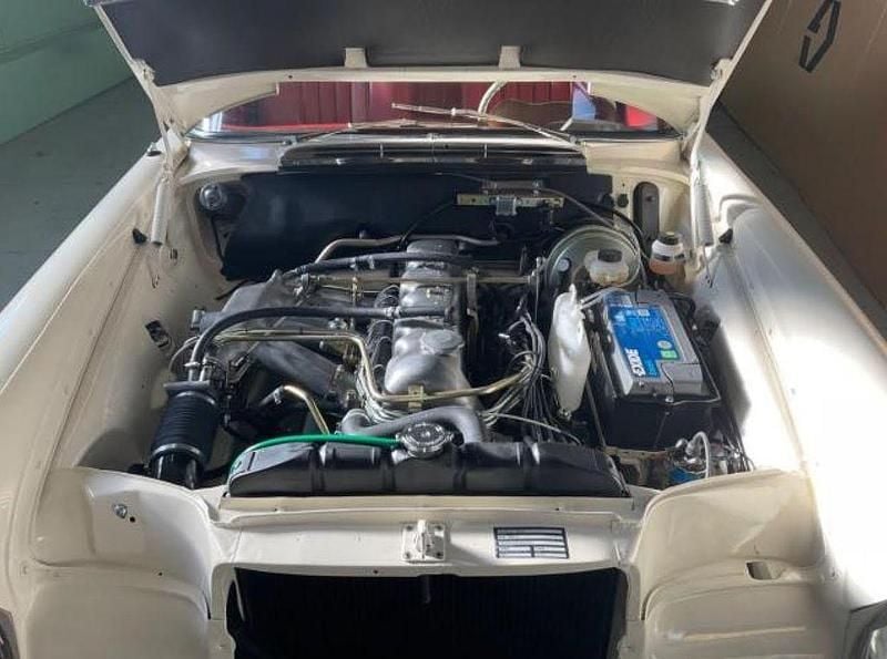 Gebraucht Mercedes 280 160 PS (117 kW) 1964 Weiß Coupé