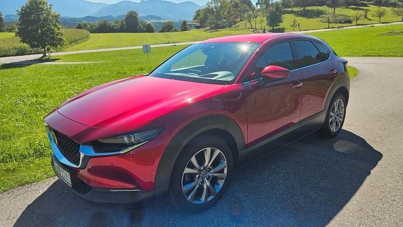 Rot Gebraucht 2019 Mazda CX-30 Selection SUV | 13.900 € (Guter Preis) - Bild 1/4