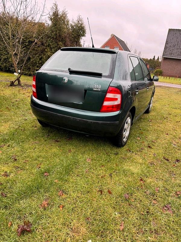 Gebraucht Skoda Fabia 54 PS (39 kW) 2007 Grün Kleinwagen