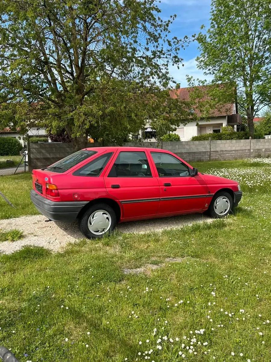 Gebraucht Ford Escort 77 PS (56 kW) 1991 Kleinwagen