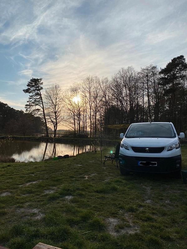 Gebraucht Peugeot Expert 116 PS (85 kW) 2017 Weiß Van