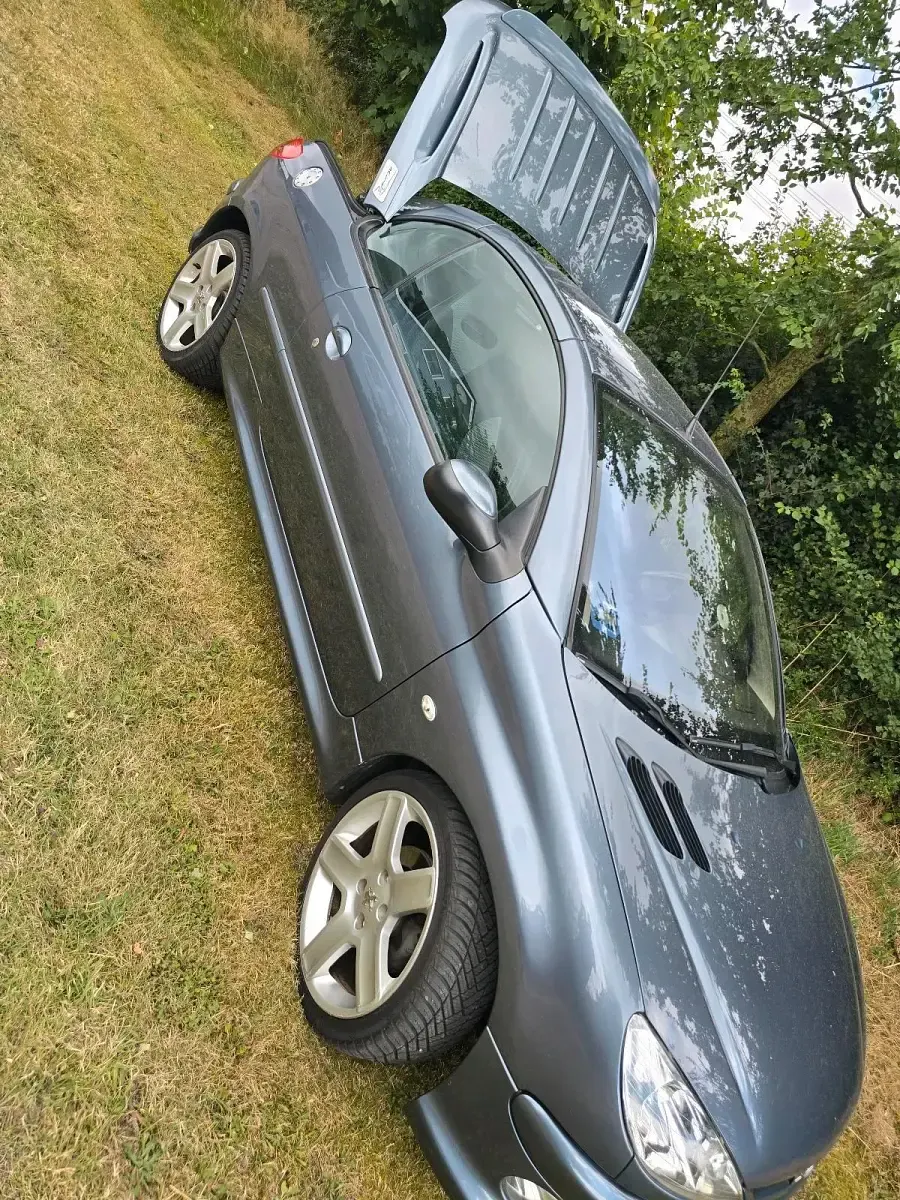 Gebraucht Peugeot 206 CC RC 109 PS (80 kW) 2006 Andere farben Cabrio