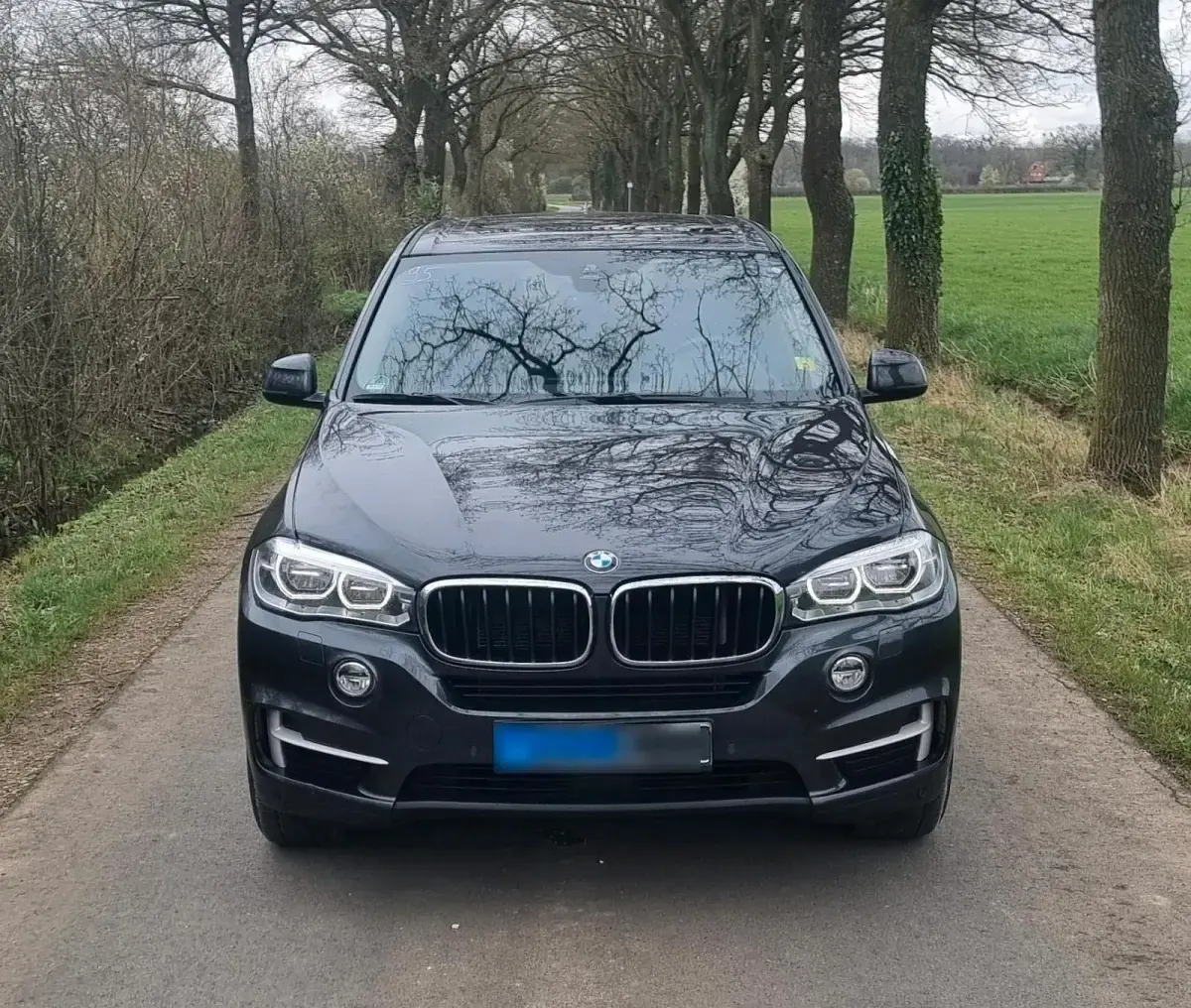 Gebraucht BMW X5 258 PS (189 kW) 2015 Grau SUV
