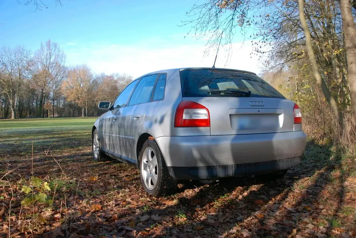 Gebraucht Audi A3 Basis 125 PS (91 kW) 2002 Silber Kleinwagen