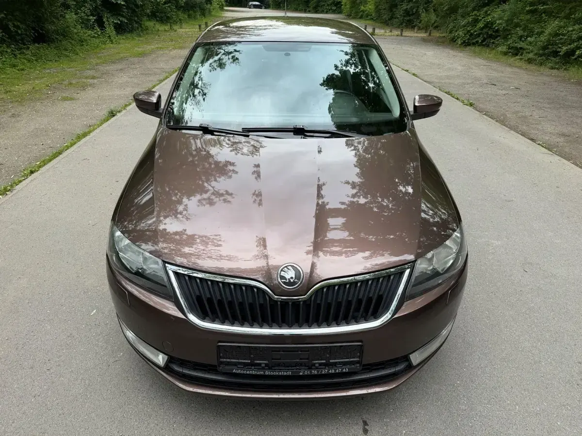 Gebraucht Skoda Rapid Ambition 125 PS (91 kW) 2017 Braun Kleinwagen