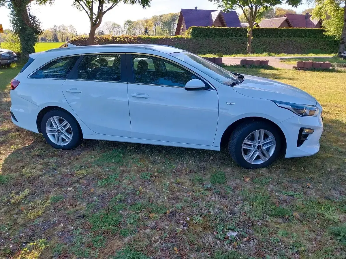Gebraucht Kia Ceed 136 PS (100 kW) 2019 Weiß Kleinwagen
