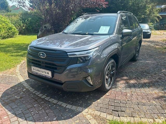 Grau Neu 2025 Subaru Forester Active SUV | 41.500 € (Fairer Preis) - Bild 1/4