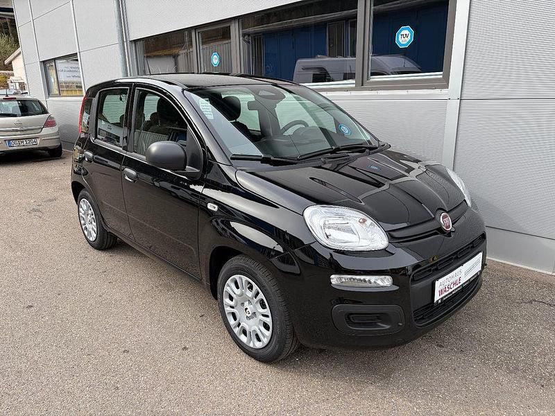 Neu Fiat Panda Icon 65 PS (47 kW) 2026 Schwarz Kleinwagen