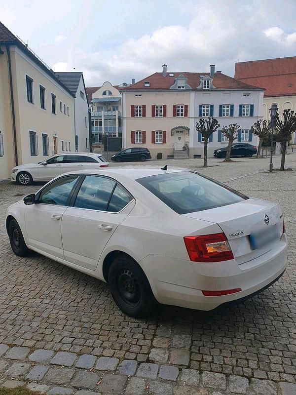 Gebraucht Skoda Octavia 130 PS (95 kW) 2016 Weiß Kleinwagen