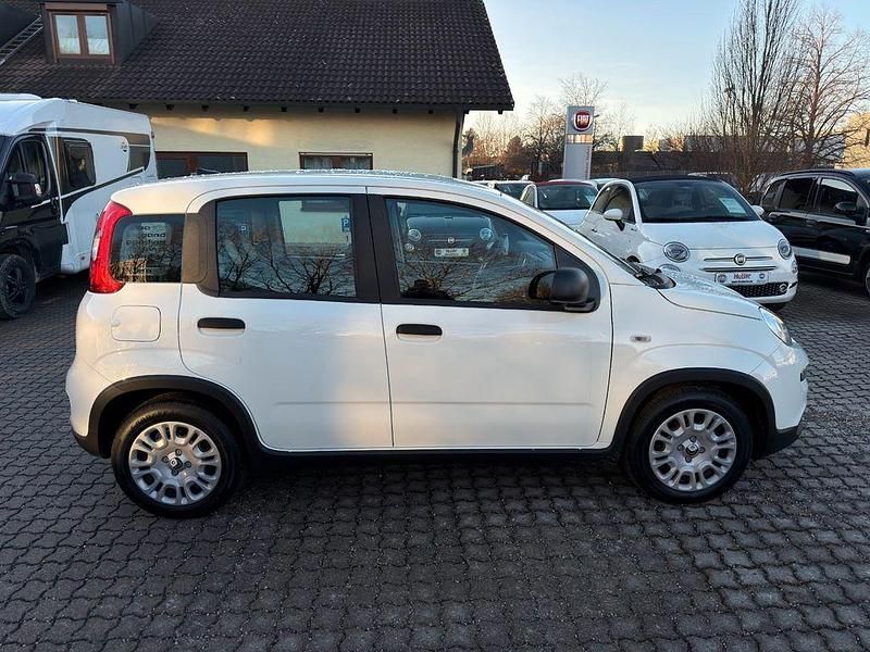 Neu Fiat Panda 69 PS (50 kW) 2025 Weiß Limousine