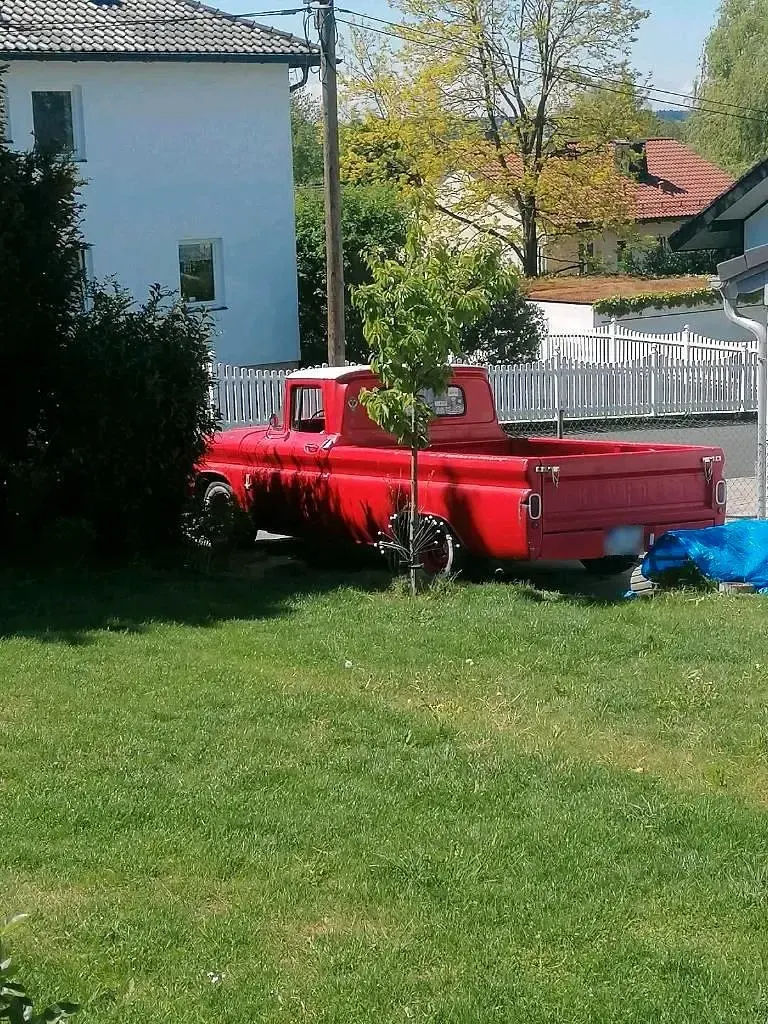 Gebraucht Chevrolet C10 145 PS (106 kW) 1963 Pickup