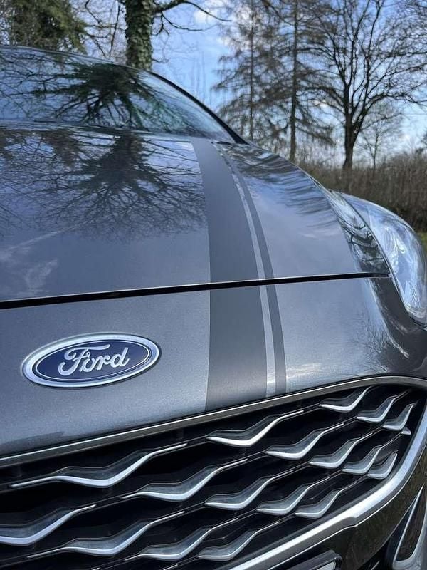 Gebraucht Ford Fiesta Vignale 101 PS (74 kW) 2018 Grau Kleinwagen