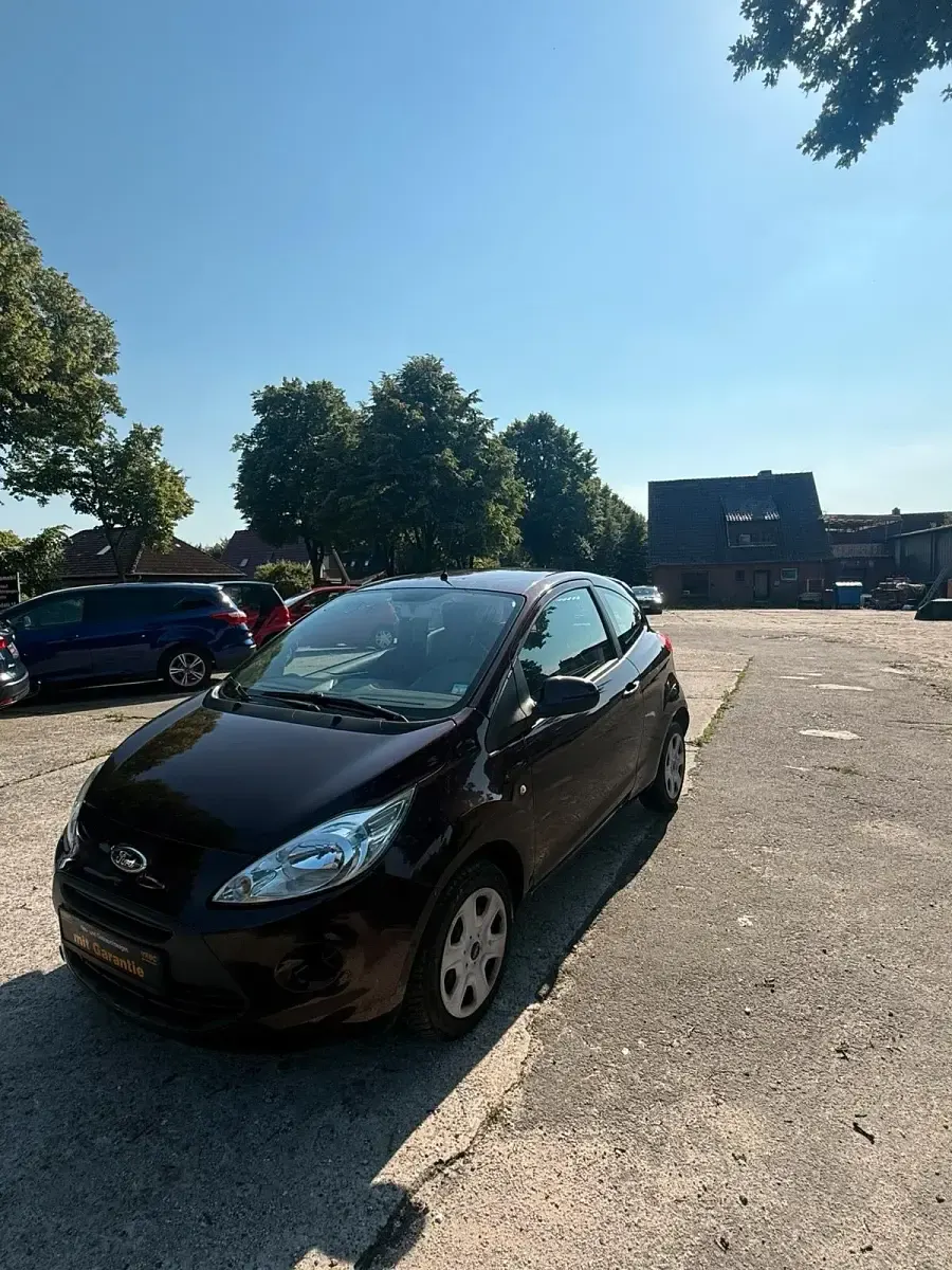Gebraucht Ford Ka Titanium 69 PS (50 kW) 2012 Braun Kleinwagen