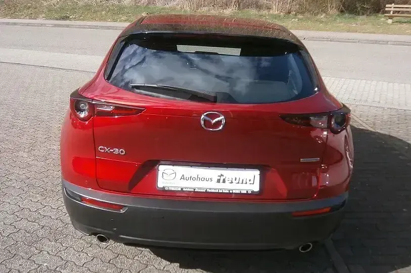 Gebraucht Mazda CX-30 2020 Rot SUV
