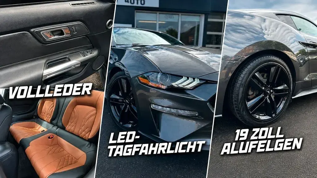 Gebraucht Ford Mustang 290 PS (213 kW) 2018 Grau Coupé
